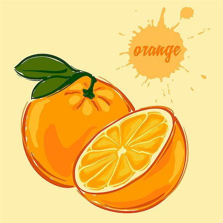 hand draw of orange vector illustration of isolated colorful Foto de stock - Super Valor sin royalties y Suscripción, Código: 400-08978325
