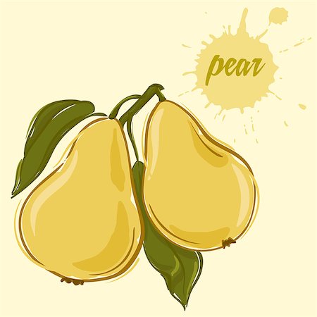hand draw of pear vector illustration of isolated colorful Foto de stock - Super Valor sin royalties y Suscripción, Código: 400-08978326