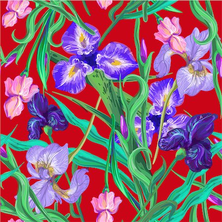 Seamless pattern with flowers. Iris, lily pink and white.Vector. Hand drawn Photographie de stock - Aubaine LD & Abonnement, Code: 400-08978424
