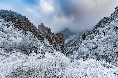 View of the frozen forest in Huangshan National park. China. Stock Photo - Budget Royalty-Free & Subscription, Code: 400-08978799