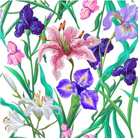 Seamless pattern with flowers. Iris, lily pink and white.Vector. Hand drawn Photographie de stock - Aubaine LD & Abonnement, Code: 400-08979177