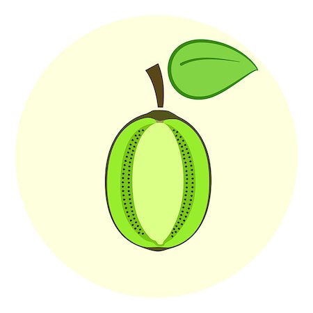Half green kiwi vector icon, kiwi split in a half, cut fruit Stock Photo - Budget Royalty-Free & Subscription, Code: 400-08979447