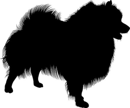 simsearch:400-08976828,k - Black silhouette of spitz. Vector. isolated on white background. Spitz dog Stock Photo - Budget Royalty-Free & Subscription, Code: 400-08979777