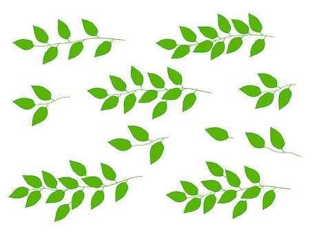 natural set of hand drawn tree branches with green leaves Stock Photo - Budget Royalty-Free & Subscription, Code: 400-08980009