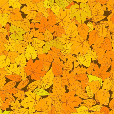 A lot of cute hand drawn leaves from different kind of trees, autumn seamless pattern Stockbilder - Microstock & Abonnement, Bildnummer: 400-08980387