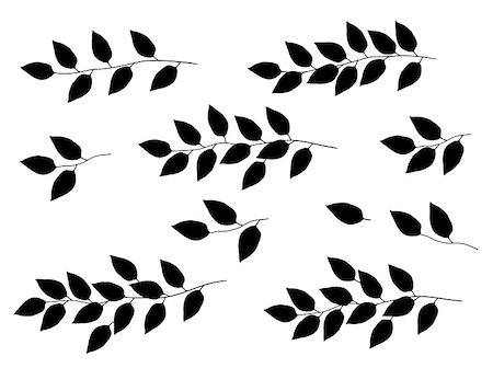 set of black tree branches with leaves silhouette on white background Stock Photo - Budget Royalty-Free & Subscription, Code: 400-08980433