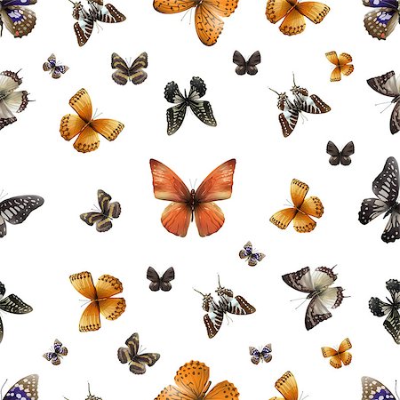 dyha1965 (artist) - Seamless pattern from butterflies, vector illustration, clip-art Photographie de stock - Aubaine LD & Abonnement, Code: 400-08980483