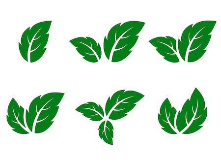 abstract green leaf icons set on white background Stock Photo - Budget Royalty-Free & Subscription, Code: 400-08981729