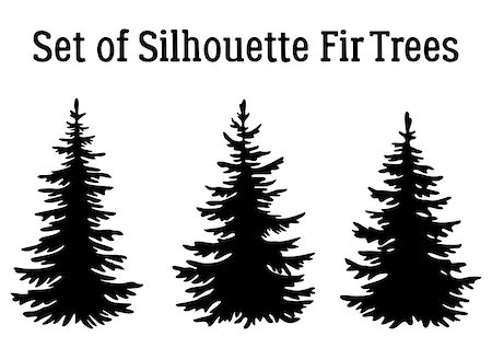 Fir Trees, Christmas Holiday Decoration, Black Silhouettes Isolated on White Background. Vector Fotografie stock - Microstock e Abbonamento, Codice: 400-08981722