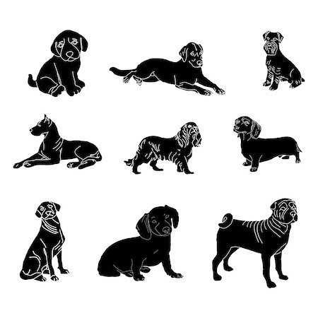 simsearch:400-09081887,k - Vector dog breed silhouettes collection. Black dog icons collection isolated. Fotografie stock - Microstock e Abbonamento, Codice: 400-08997226