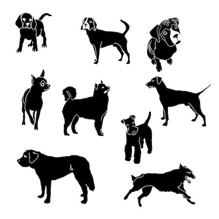 simsearch:400-04792278,k - Vector dog breed silhouettes collection. Black dog icons collection isolated. Fotografie stock - Microstock e Abbonamento, Codice: 400-08997227