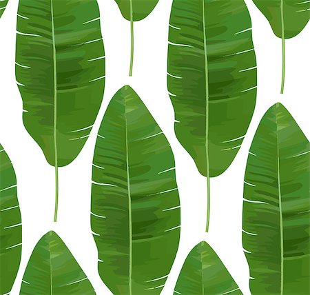 Seamless tropical pattern with banana leaves. Vector illustration. Stock Photo - Budget Royalty-Free & Subscription, Code: 400-08997374