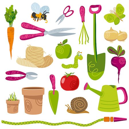 Gardening tools and vegetables vector icons set on white Stock Photo - Budget Royalty-Free & Subscription, Code: 400-08997906