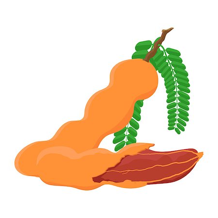 phukankosana (artist) - Tamarind flat design, Tamarind  isolated on white background. vector illustration. Stock Photo - Budget Royalty-Free & Subscription, Code: 400-08998065