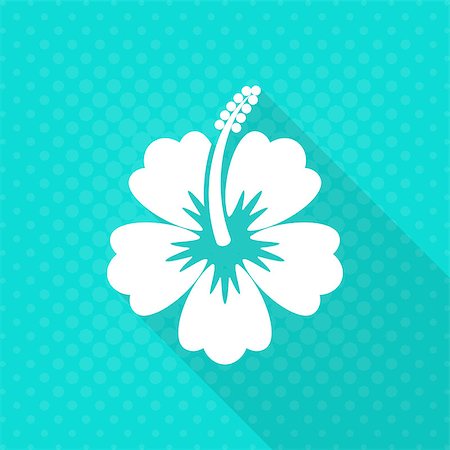 White vector hibiscus flower flat icon turquoise background Foto de stock - Super Valor sin royalties y Suscripción, Código: 400-08998347