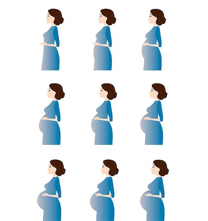simsearch:400-08779771,k - Vector illustration of pregnant female silhouettes. Changes in a woman s body in pregnancy. Pregnancy stages, trimesters and birth, pregnant woman and baby. Infographic elements Stock Photo - Budget Royalty-Free & Subscription, Code: 400-08998386