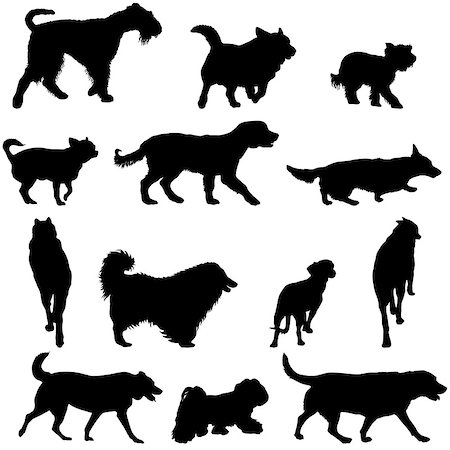 simsearch:400-09091868,k - Set silhouette black domestic dog on a white background. Fotografie stock - Microstock e Abbonamento, Codice: 400-08998394