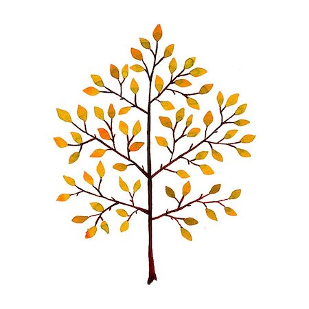 simsearch:400-05901134,k - Tree. Hand-drawn watercolor image on white background Stock Photo - Budget Royalty-Free & Subscription, Code: 400-08998594