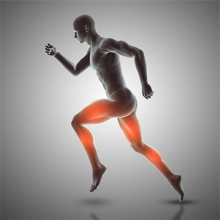 skinless - 3D render of a male figure in running pose showing muscles used Stock Photo - Budget Royalty-Free & Subscription, Code: 400-08999036