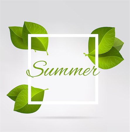 Fresh green leaves in a square. Summer theme Fotografie stock - Microstock e Abbonamento, Codice: 400-08999073