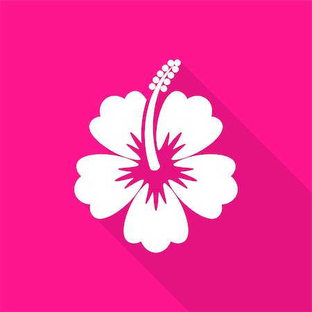 White vector hibiscus flower flat icon long shadow Stock Photo - Budget Royalty-Free & Subscription, Code: 400-08999092