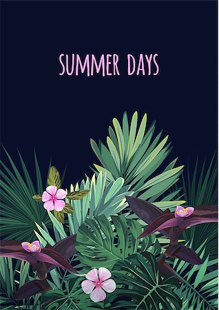 Floral postcard design with tropical flowers, monstera and royal palm leaves. Exotic hawaiian background. Vector illustration. Stock Photo - Budget Royalty-Free & Subscription, Code: 400-08999976