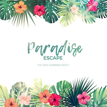 Green summer tropical background with exotic palm leaves and hibiscus flowers. Floral background, vector illustration. Stock Photo - Budget Royalty-Free & Subscription, Code: 400-08999972