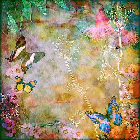 Vintage floral background with Australian butterflies. Photo montage on colourful aged wood textured background. Copy space for text. Photographie de stock - Aubaine LD & Abonnement, Code: 400-09008624
