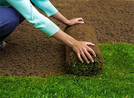 simsearch:400-05118067,k - Woman applying turf rolls in the backyard Stock Photo - Budget Royalty-Free & Subscription, Code: 400-09009080