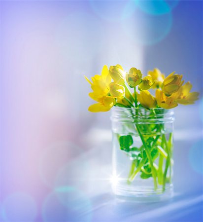Yellow beautiful flowers in the sunlight. Spring bouquet Foto de stock - Super Valor sin royalties y Suscripción, Código: 400-09009962