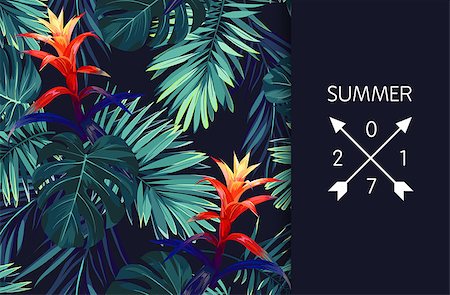 Green summer tropical background with exotic palm leaves and flowers. Vector floral background. Stock Photo - Budget Royalty-Free & Subscription, Code: 400-09001319