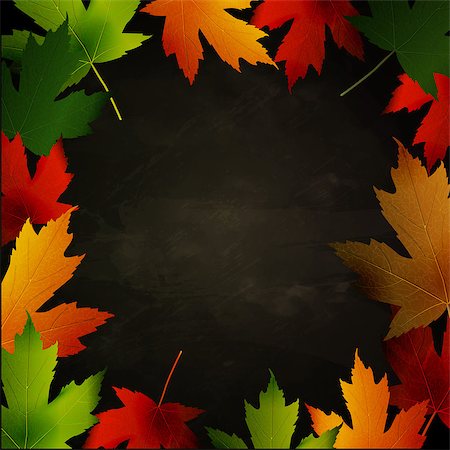 fall aspen leaves - Frame of autumn leaves painted on black chalkboard. Sketch, design elements. Vector illustration. Stock Photo - Budget Royalty-Free & Subscription, Code: 400-09001603