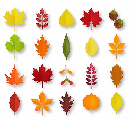 simsearch:400-04228440,k - Paper cut autumn leaves set. Fall leaves colorful paper collection. Vector illustration Foto de stock - Super Valor sin royalties y Suscripción, Código: 400-09001772