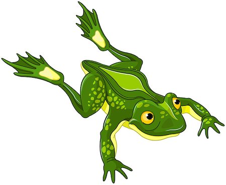 Illustration of very cute frog Stock Photo - Budget Royalty-Free & Subscription, Code: 400-09002140