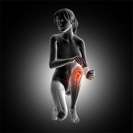 skinless - 3D render of a female figure kneeling down with knee highlighted Stock Photo - Budget Royalty-Free & Subscription, Code: 400-09002162
