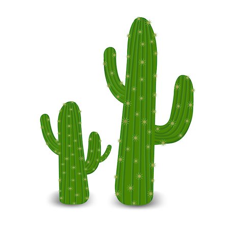 simsearch:6102-03866399,k - Cactus With Gradient Mesh, Vector Illustration Foto de stock - Super Valor sin royalties y Suscripción, Código: 400-09018973