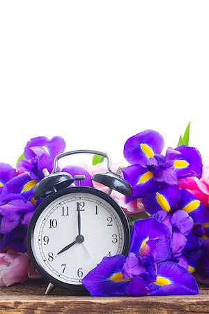 simsearch:400-04801462,k - Spring time concept - retro alarm clock with fresh flowers, copy space on white background Stock Photo - Budget Royalty-Free & Subscription, Code: 400-09019011