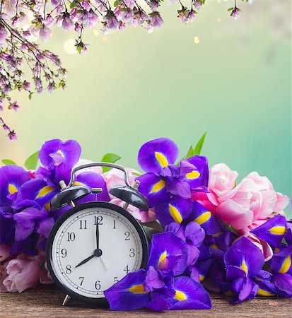 simsearch:400-04801462,k - Spring time concept - retro alarm clock with fresh flowers, spring garden in background Stock Photo - Budget Royalty-Free & Subscription, Code: 400-09019012