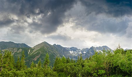 simsearch:400-05344522,k - Craggy mountain massif with snow patches and forest in the foreground on the background of the sky with storm clouds in the Tatra Mountains Photographie de stock - Aubaine LD & Abonnement, Code: 400-09019253