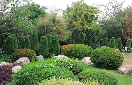 Beautiful style garden in the natural zoo , Thailand Foto de stock - Super Valor sin royalties y Suscripción, Código: 400-09019499