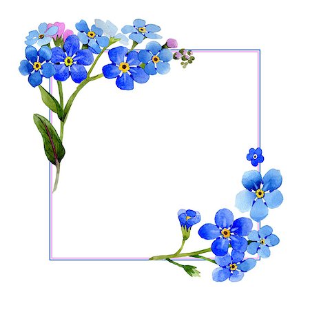 Wildflower myosotis arvensis flower frame in a watercolor style isolated. Full name of the plant: Myosotis arvensis. Aquarelle wild flower for background, texture, wrapper pattern, frame or border. Photographie de stock - Aubaine LD & Abonnement, Code: 400-09010124