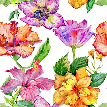 Wildflower hibiscus flower pattern  in a watercolor style isolated. Aquarelle wild flower for background, texture, wrapper pattern, frame or border. Photographie de stock - Aubaine LD & Abonnement, Code: 400-09010368