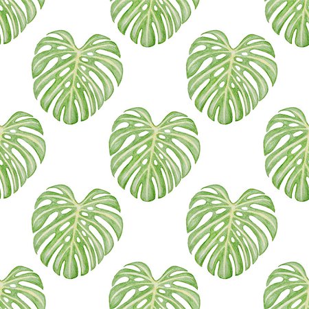 simsearch:400-09011216,k - Summer watercolor seamless pattern with green tropical leaves Foto de stock - Super Valor sin royalties y Suscripción, Código: 400-09011217