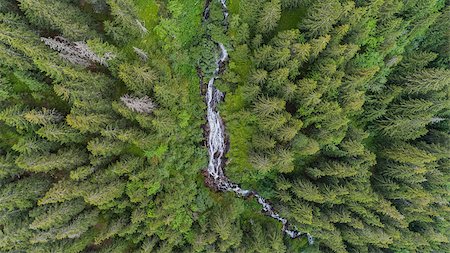 Waterfall Tumultuous in the Bad Valley. Fagaras Mountains, Romania Stock Photo - Budget Royalty-Free & Subscription, Code: 400-09011435