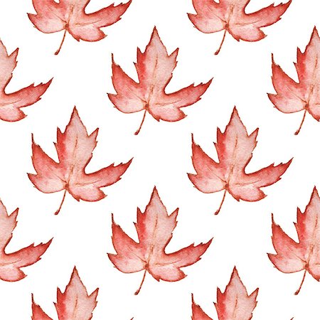 simsearch:400-09011216,k - Floral watercolor seamless pattern with red maple leaves on a white background Foto de stock - Super Valor sin royalties y Suscripción, Código: 400-09011453