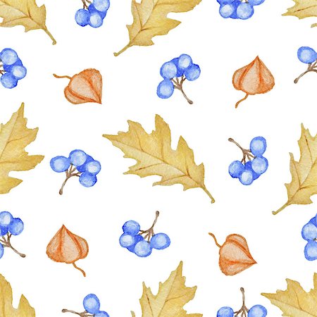 simsearch:400-09011216,k - Floral watercolor seamless pattern with yellow oak leaves and blue berries on a white background Foto de stock - Super Valor sin royalties y Suscripción, Código: 400-09011462