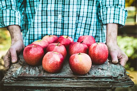 simsearch:400-08552542,k - Organic fruit. Farmers hands with freshly harvested fruit. Fresh organic apples. Stock Photo - Budget Royalty-Free & Subscription, Code: 400-09028321