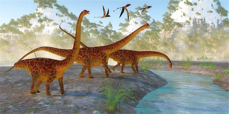 simsearch:400-08332007,k - Diplodocus dinosaurs come down to a river for a morning drink as a flock of Dimorphodon reptiles fly nearby. Foto de stock - Super Valor sin royalties y Suscripción, Código: 400-09028398