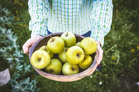 simsearch:400-08552542,k - Organic fruit. Farmers hands with freshly harvested fruit. Fresh organic apples. Stock Photo - Budget Royalty-Free & Subscription, Code: 400-09028962