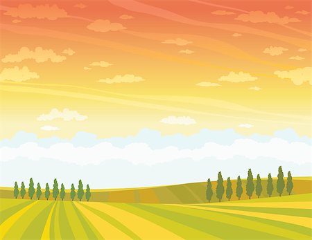 Summer rural landscape with cultivate meadow and green trees on a sunset sky background. Vector nature illustration. Stock Photo - Budget Royalty-Free & Subscription, Code: 400-09029276